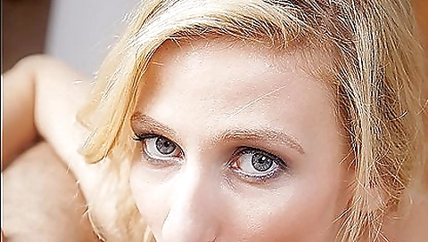 She's ao submission of casania scout nos  miller cade